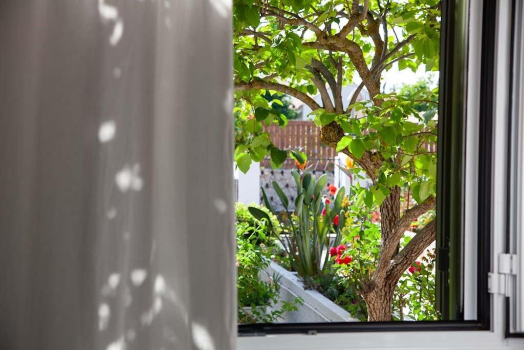 Casa Da Bugainvillea Metaxata